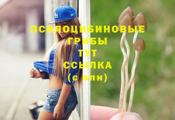 герыч Краснослободск